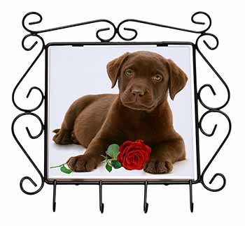 Chesapeake Bay Retriever with Rose Wrought Iron Key Holder Hooks