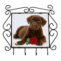 Chesapeake Bay Retriever with Rose Wrought Iron Key Holder Hooks