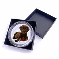 Chesapeake Bay Retriever with Rose Glass Paperweight in Gift Box