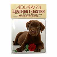 Chesapeake Bay Retriever with Rose Single Leather Photo Coaster