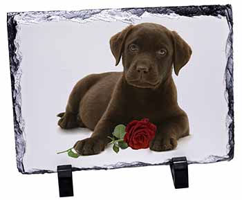 Chesapeake Bay Retriever with Rose, Stunning Photo Slate