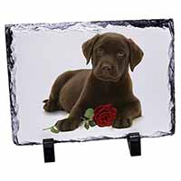 Chesapeake Bay Retriever with Rose, Stunning Photo Slate