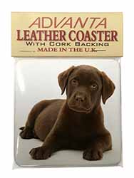 Chesapeake Bay Retriever Dog Single Leather Photo Coaster