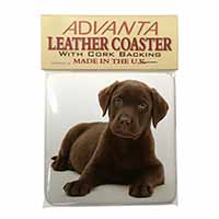 Chesapeake Bay Retriever Dog Single Leather Photo Coaster