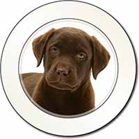 Chesapeake Bay Retriever Dog Car or Van Permit Holder/Tax Disc Holder
