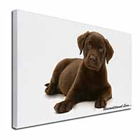 Chesapeake Bay Retriever-Love Canvas X-Large 30"x20" Wall Art Print