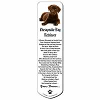 Chesapeake Bay Retriever 