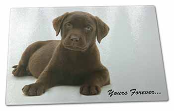 Large Glass Cutting Chopping Board Chesapeake Bay Retriever 