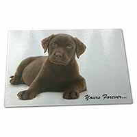 Large Glass Cutting Chopping Board Chesapeake Bay Retriever 