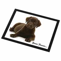 Chesapeake Bay Retriever 