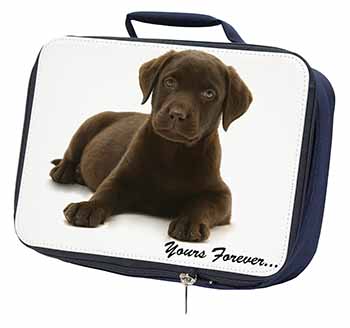 Chesapeake Bay Retriever 