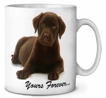 Chesapeake Bay Retriever 