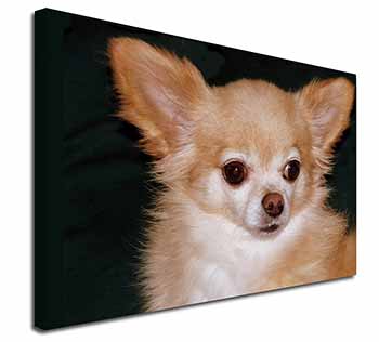 Chihuahua Dog Canvas X-Large 30"x20" Wall Art Print