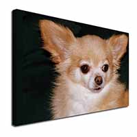 Chihuahua Dog Canvas X-Large 30"x20" Wall Art Print
