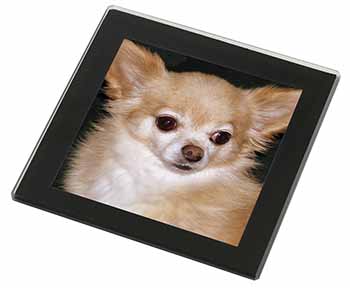 Chihuahua Dog Black Rim High Quality Glass Coaster