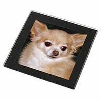 Chihuahua Dog Black Rim High Quality Glass Coaster