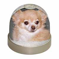 Chihuahua Dog Snow Globe Photo Waterball