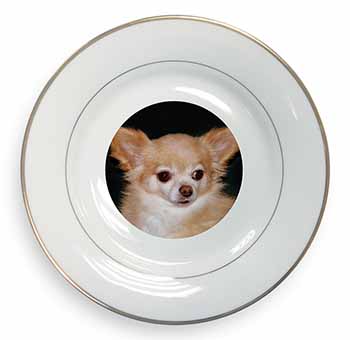 Chihuahua Dog Gold Rim Plate Printed Full Colour in Gift Box