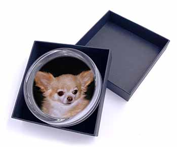 Chihuahua Dog Glass Paperweight in Gift Box