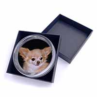 Chihuahua Dog Glass Paperweight in Gift Box