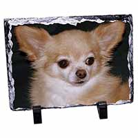 Chihuahua Dog, Stunning Photo Slate