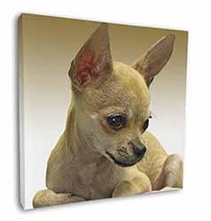 Chihuahua Square Canvas 12"x12" Wall Art Picture Print