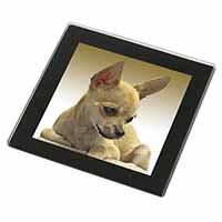 Chihuahua Black Rim High Quality Glass Coaster