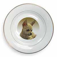 Chihuahua Gold Rim Plate Printed Full Colour in Gift Box