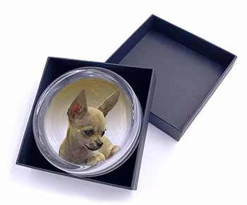 Chihuahua Glass Paperweight in Gift Box