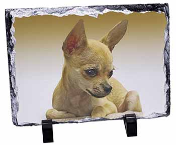 Chihuahua, Stunning Photo Slate