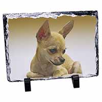 Chihuahua, Stunning Photo Slate