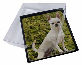4x White Chihuahua Dog Picture Table Coasters Set in Gift Box