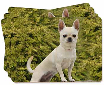 White Chihuahua Dog Picture Placemats in Gift Box