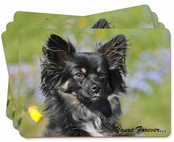 Black Chihuahua "Yours Forever..." Picture Placemats in Gift Box