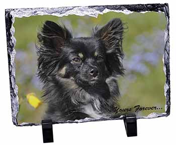 Black Chihuahua "Yours Forever...", Stunning Photo Slate