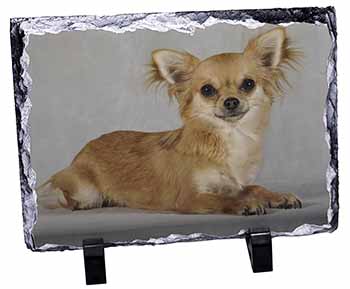 Chihuahua, Stunning Photo Slate