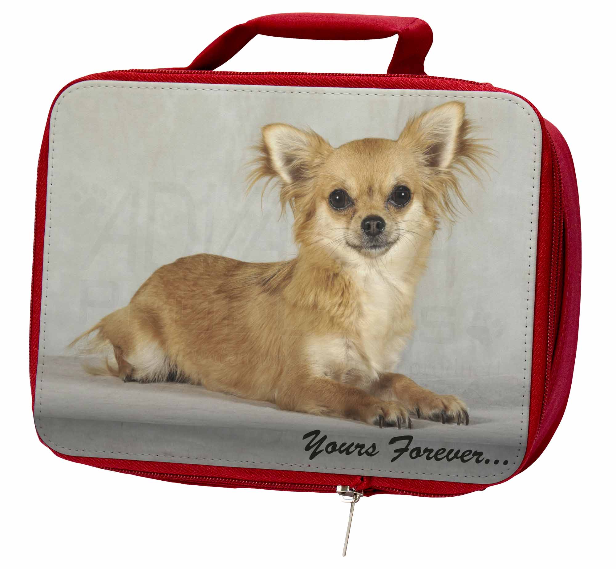 Brown Chihuahua "Yours Forever..." Insulated Red School Lunch Box/Pi, AD-CH6yLBR Brown Chihuahua