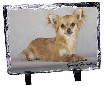 Brown Chihuahua "Yours Forever...", Stunning Photo Slate
