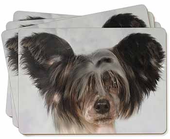 Chinese Crested Dog Picture Placemats in Gift Box