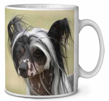Chinese Crested Dog Ceramic 10oz Coffee Mug/Tea Cup