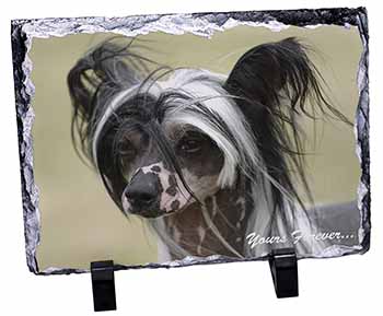 Chinese Crested Dog "Yours Forever...", Stunning Photo Slate