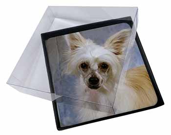 4x Chinese Crested Powder Puff Dog Picture Table Coasters Set in Gift Box