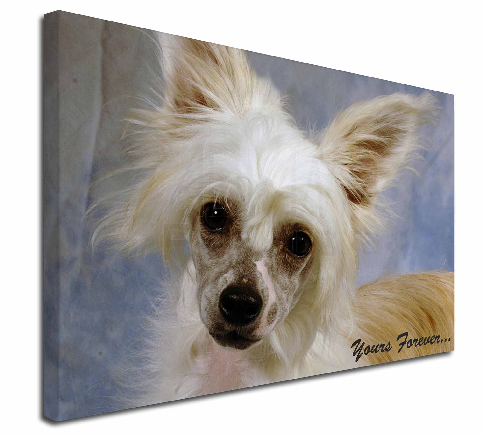 Chinese Crested Pet Shopping Tote