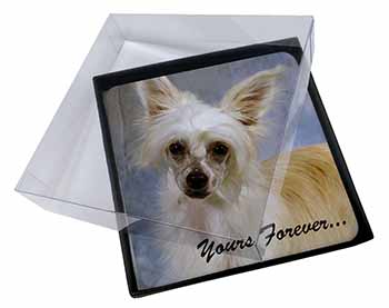 4x Chinese Crested Powder Puff Dog Picture Table Coasters Set in Gift Box