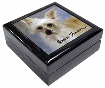 Chinese Crested Powder Puff Dog Keepsake/Jewellery Box