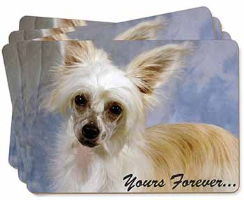 Chinese Crested Powder Puff Dog Picture Placemats in Gift Box