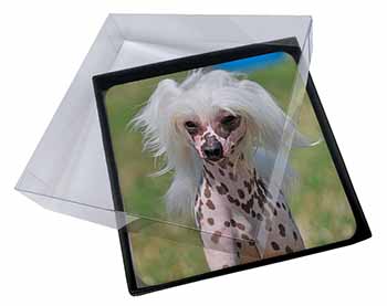 4x Chinese Crested Dog Picture Table Coasters Set in Gift Box