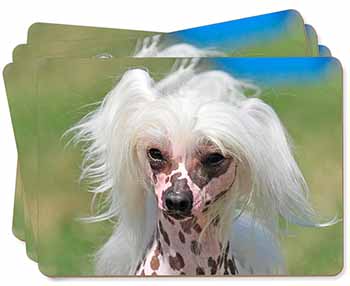 Chinese Crested Dog Picture Placemats in Gift Box