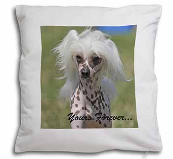 Chinese Crested Dog "Yours Forever..." Soft White Velvet Feel Scatter Cushion