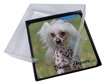 4x Chinese Crested Dog "Yours Forever..." Picture Table Coasters Set in Gift Box